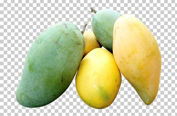 International Mango Festival Fruit Frozen Yogurt Food PNG, Clipart, Alphonso, Burn, Dried Fruit, Edo, Food Free PNG Download