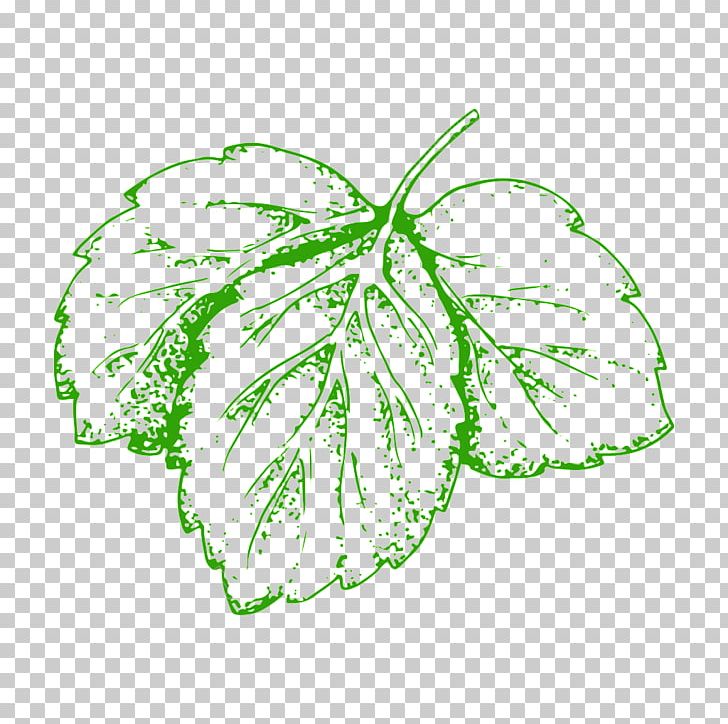 Vegetable Illustration Leaf Portable Network Graphics PNG, Clipart, Art, Creative Work, Download, Drawing, Flora Free PNG Download
