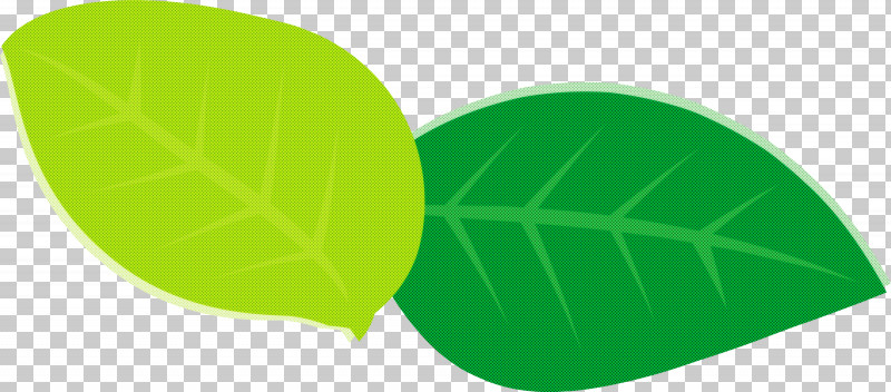 Leaf Green Font Meter Science PNG, Clipart, Biology, Green, Leaf, Meter, Plants Free PNG Download