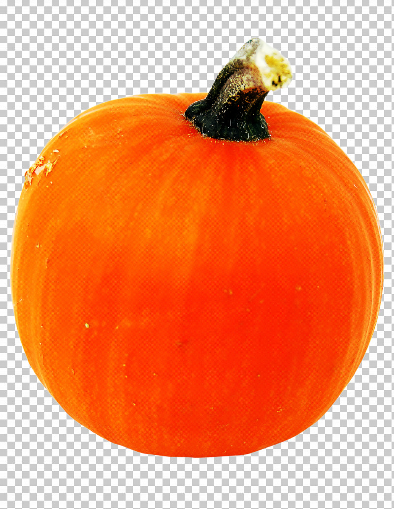 Pumpkin PNG, Clipart, Calabaza, Cucurbita, Food, Fruit, Gourd Free PNG Download