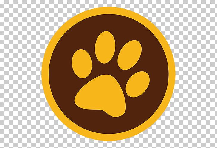 Schipperke Border Collie Dog Biscuit Cat Rescue Dog PNG, Clipart, Animals, Animal Shelter, Border Collie, Cat, Circle Free PNG Download