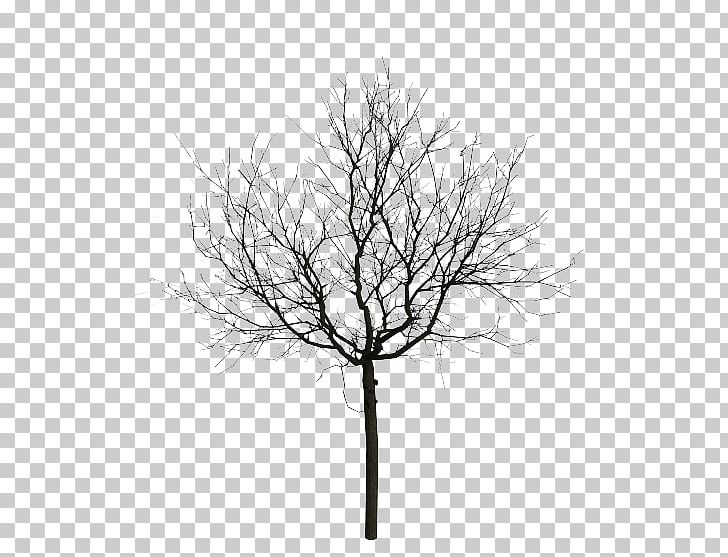 Animation Stock Photography Tree PNG, Clipart, Animated Cartoon, Animation, Black And White, Branch, Cartoon Free PNG Download