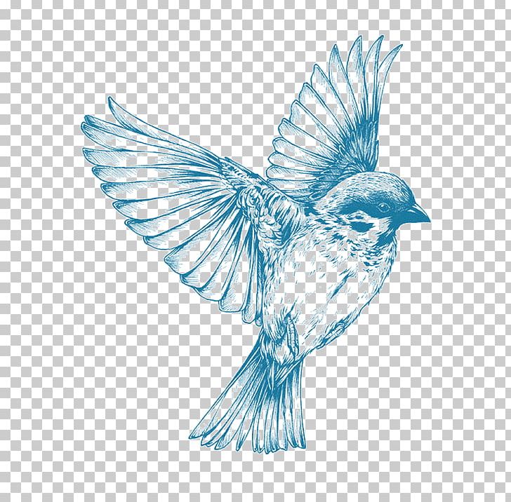 Bird Sparrow PNG, Clipart, Animals, Beak, Bird, Bluebird, Bluebird Of Happiness Free PNG Download