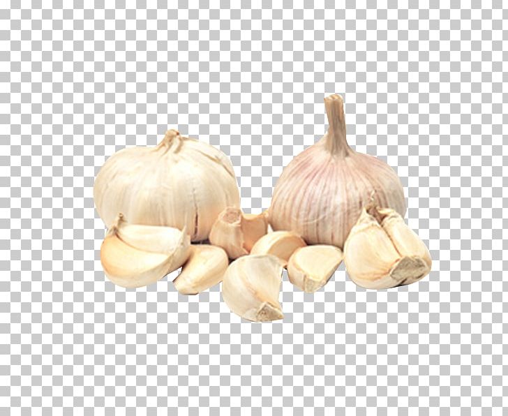 Elephant Garlic Yellow Onion Vegetable Shallot PNG, Clipart, Antioxidant, Capsicum, Cartoon Garlic, Chili Garlic, Crop Free PNG Download