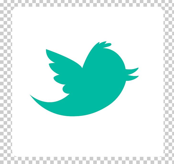 SKMurphy Inc. Social Media Blog Hashtag Twitter PNG, Clipart, Beak, Bird, Biz Stone, Blog, Company Free PNG Download