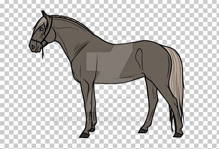 Stallion Pony Foal Mustang Mare PNG, Clipart, Arabian Horse, Bay, Breed, Bridle, Colt Free PNG Download