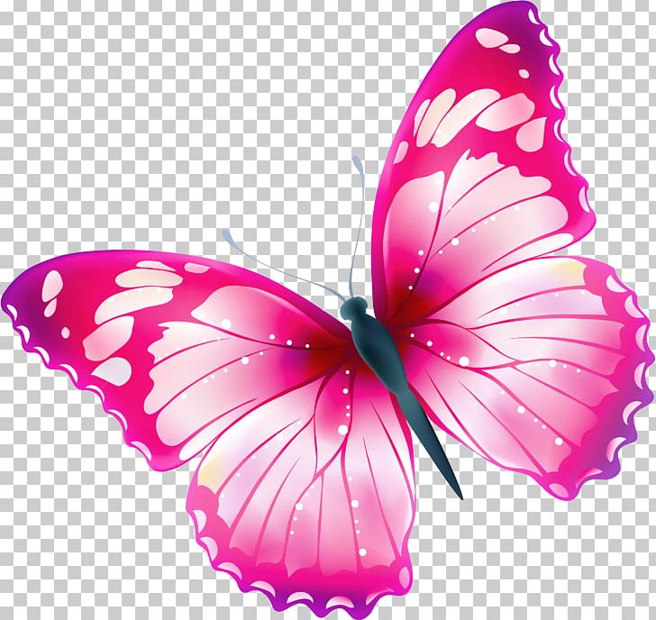 Butterfly Free Greta Oto PNG, Clipart, Arthropod, Blog, Brush Footed Butterfly, Butterflies And Moths, Butterfly Free PNG Download
