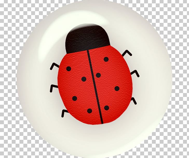 Insect Ladybird Beetle PNG, Clipart, Animal, Animals, Bee, Butterfly, Dishware Free PNG Download