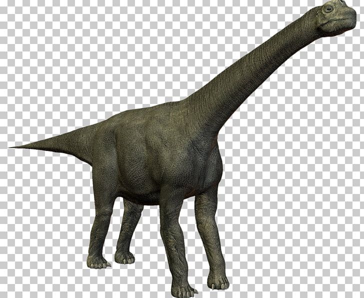 Velociraptor Camarasaurus Dinosaur PhotoScape PNG, Clipart, Avatan, Avatan Plus, Camarasaurus, Dinosaur, Fantasy Free PNG Download