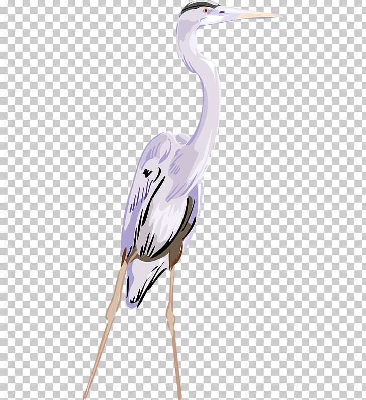 Crane Great Egret PNG, Clipart, Animal, Ardea, Balloon Cartoon, Beak, Bird Free PNG Download