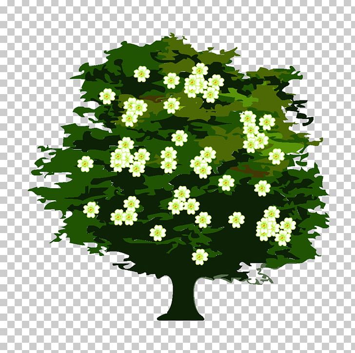 Tree Usucaption Shrub Statute Of Limitations Viburnum PNG, Clipart, Annual Plant, Drawing, English, Flower, Flowering Plant Free PNG Download