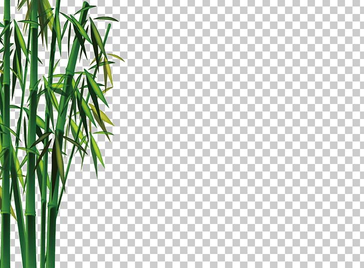Bamboo Bamboe Gratis Euclidean PNG, Clipart, Angle, Bamboe, Bamboo Border, Bamboo Frame, Bamboo House Free PNG Download