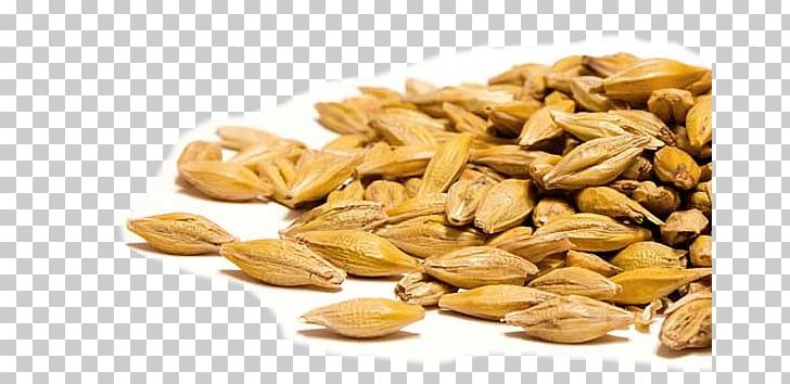 Barley Seed Wheat Grain Coix Lacryma-jobi PNG, Clipart, Animal Feed, Barley, Canary Grass, Cereal, Cereal Germ Free PNG Download
