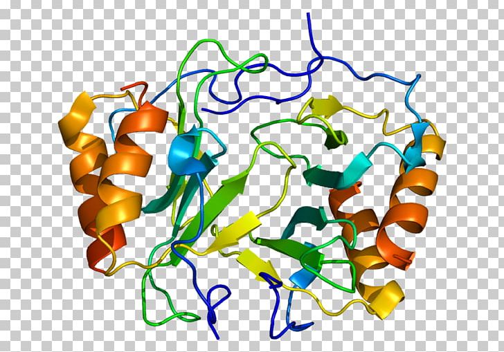 Platelet Factor 4 CXC Chemokine Receptors Heparin PNG, Clipart, Artwork, Belong, Chemokine, Coagulation, Crystal Structure Free PNG Download
