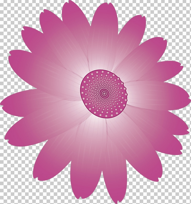 Marguerite Flower Spring Flower PNG, Clipart, Daisy, Daisy Family, Flower, Gerbera, Magenta Free PNG Download