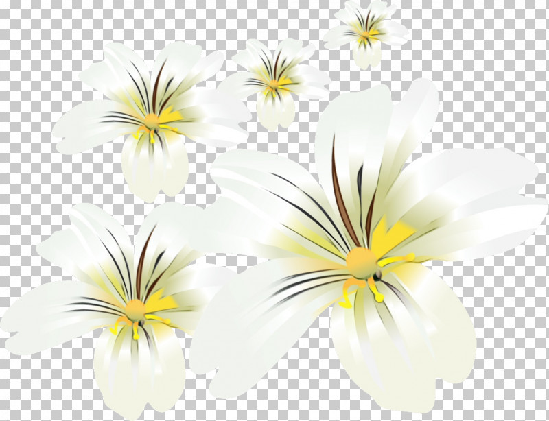 Cut Flowers Petal Yellow Flower PNG, Clipart, Cut Flowers, Flower, Lily Flower, Paint, Petal Free PNG Download