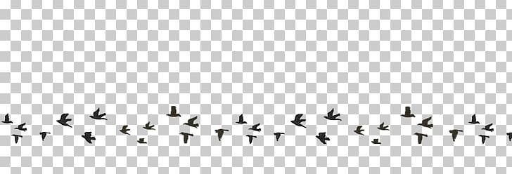 Bird Migration Line Point Font PNG, Clipart, Animal Migration, Animals, Beak, Bird, Bird Migration Free PNG Download