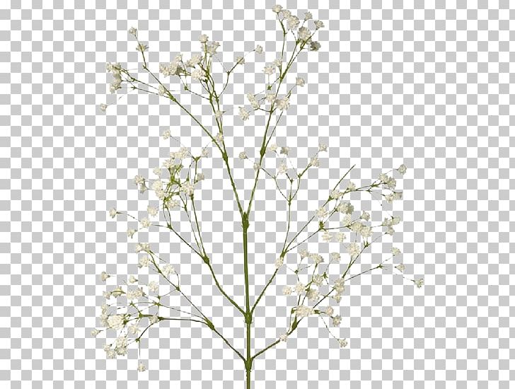 Cut Flowers Flower Bouquet Artificial Flower Pressed Flower Craft PNG, Clipart, Anthriscus, Artificial Flower, Babysbreath, Branch, Cow Parsley Free PNG Download