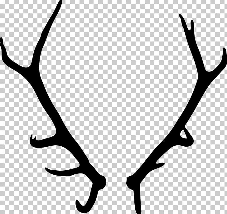 Elk Deer Antler Drawing PNG, Clipart, Animals, Antler, Black And White, Branch, Deer Free PNG Download