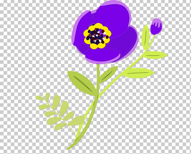 Plant Stem Cut Flowers Herbaceous Plant Violet Flower PNG, Clipart, Biology, Cut Flowers, Flower, Herbaceous Plant, Paint Free PNG Download