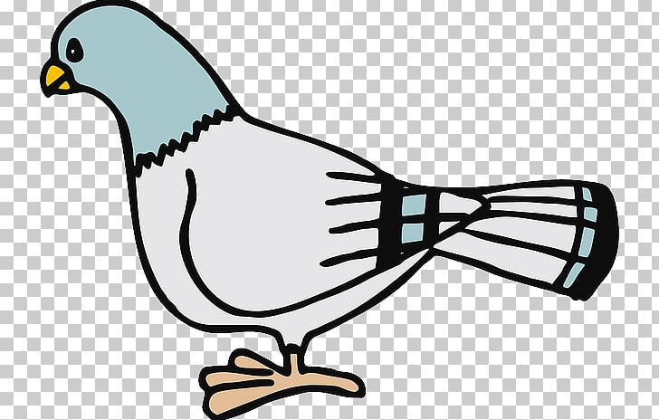 Columbidae Drawing PNG, Clipart, Art, Artwork, Beak, Bird, Cartoon Feather Free PNG Download