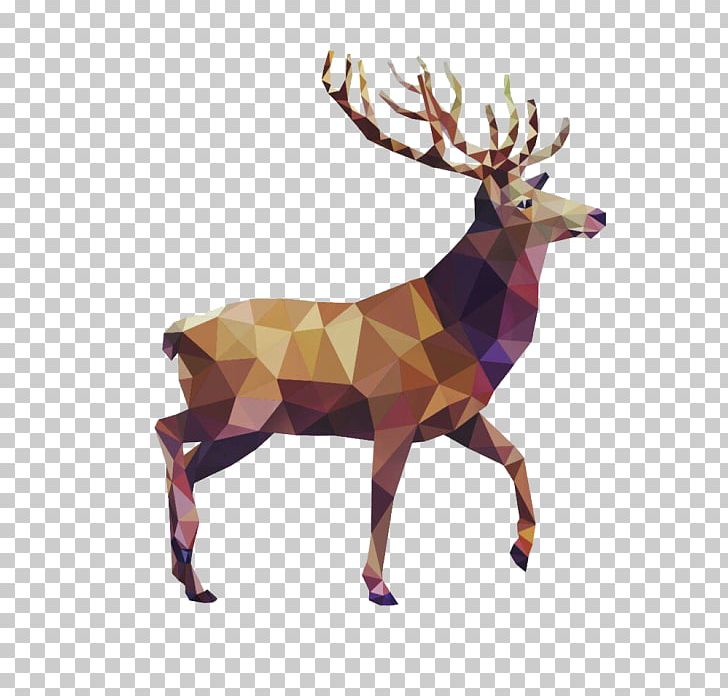 Deer Geometry Drawing Art PNG, Clipart, Animal, Animals, Antler, Art, Deer Free PNG Download