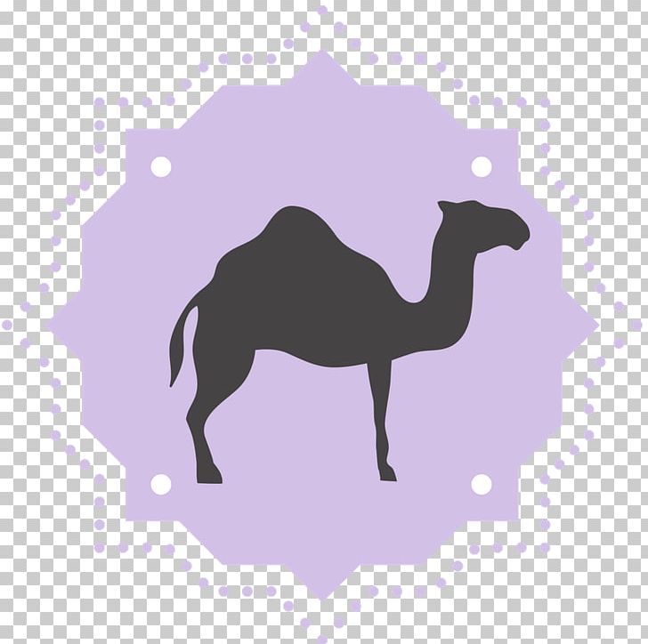 Dromedary Biblical Magi PNG, Clipart, Arabian Camel, Balthazar, Biblical Magi, Camel, Camel Like Mammal Free PNG Download