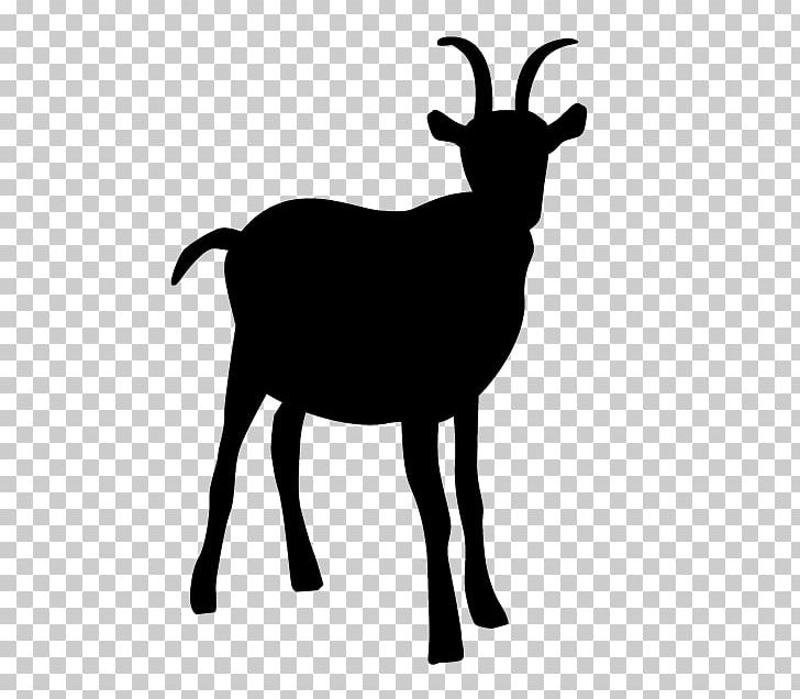 Sheep Goats PNG, Clipart, Animals, Antelope, Antler, Black And White, Cattle Free PNG Download