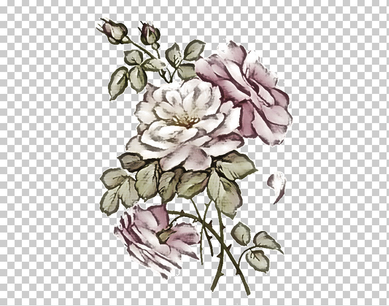 Floral Design PNG, Clipart, Branching, Cabbage Rose, Creativity, Cut Flowers, Flora Free PNG Download