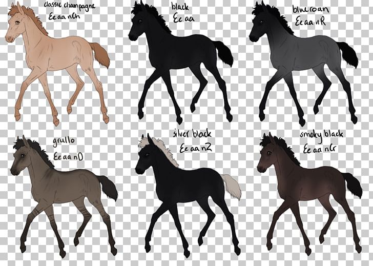 Mustang Foal Colt Stallion Mare PNG, Clipart, Animal, Animal Figure, Arab Family, Black, Bridle Free PNG Download
