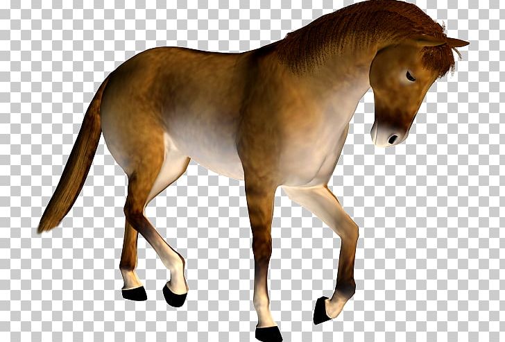 Mustang Stallion Mare Pony Colt PNG, Clipart, Animal Figure, Bridle, Colt, Equus, Halter Free PNG Download