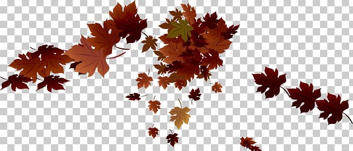 Maple Leaf Autumn PNG, Clipart, Autumn, Autumn Leaves, Autumn Tree, Blade, Defoliation Free PNG Download