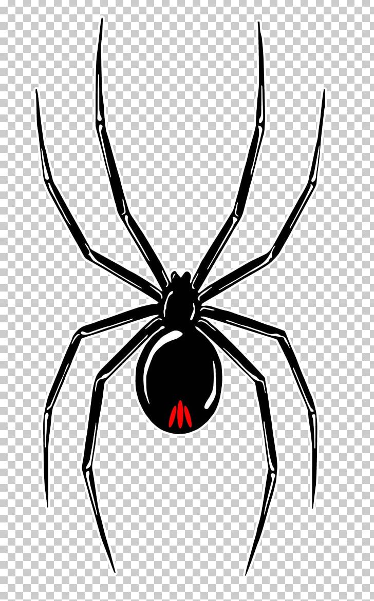 Southern Black Widow Wolf Spider Redback Spider Decal PNG, Clipart, Animal, Arachnid, Arthropod, Artwork, Black And White Free PNG Download