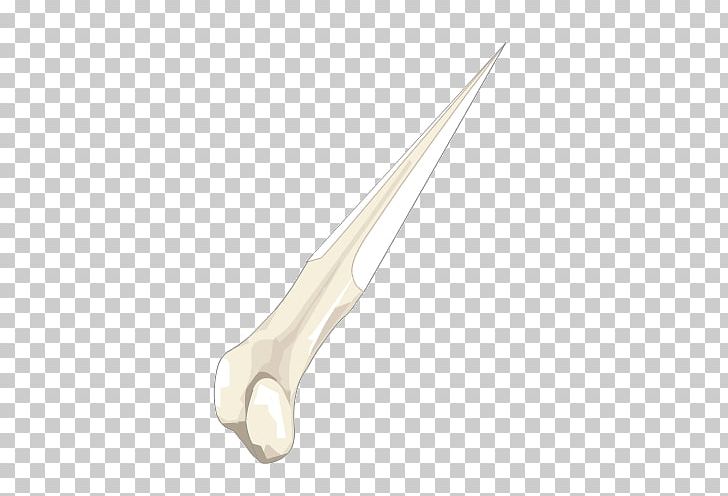 Angle PNG, Clipart, Angle, Bone, Others Free PNG Download