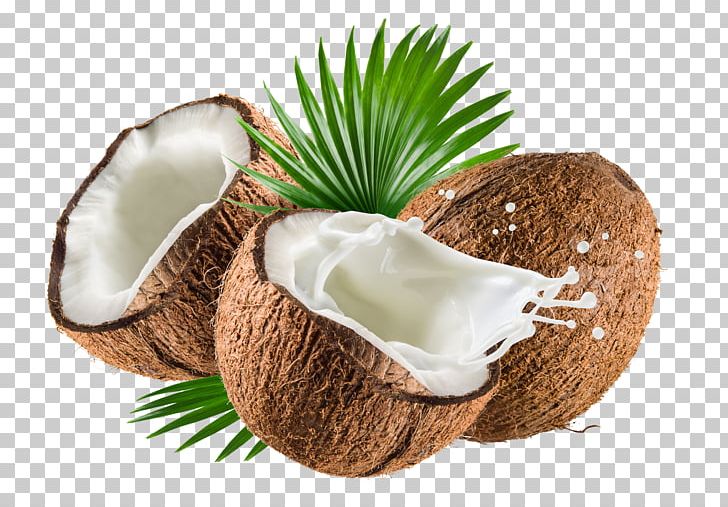 Coconut Milk Coconut Water Nata De Coco Coconut Oil PNG, Clipart, Coconut, Coconut Cream, Coconut Leaf, Coconut Leaves, Coconut Milk Free PNG Download