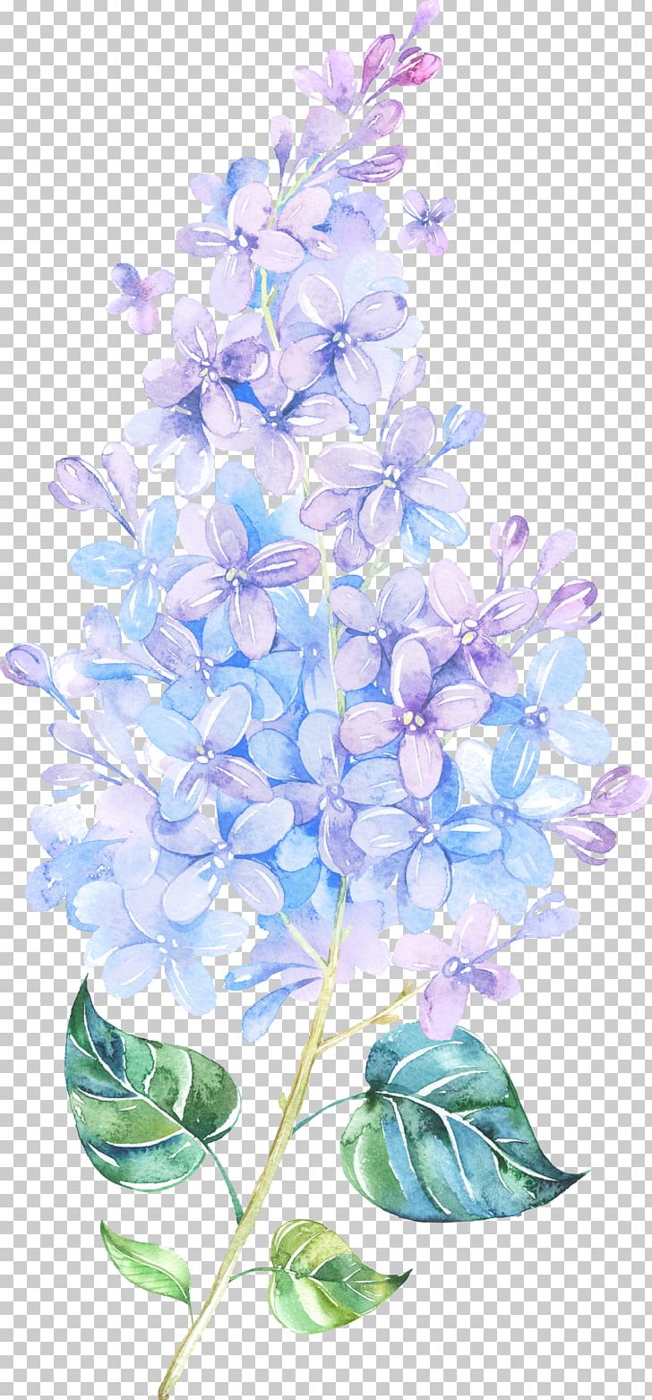 Flower Lilac Watercolor Painting Purple PNG, Clipart, Artificial Flower, Branch, Color, Cornales, Cut Flowers Free PNG Download