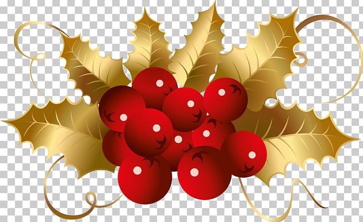 Photography PNG, Clipart, Aquifoliales, Berry, Christmas, Decorative, Desktop Wallpaper Free PNG Download