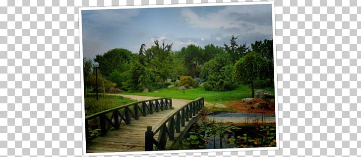 Istanbul Bursa Botanical Park Yalova Botanic Park Parking Lot İzmir PNG, Clipart, Bursa, Bursa Province, City, Ecosystem, Grass Free PNG Download