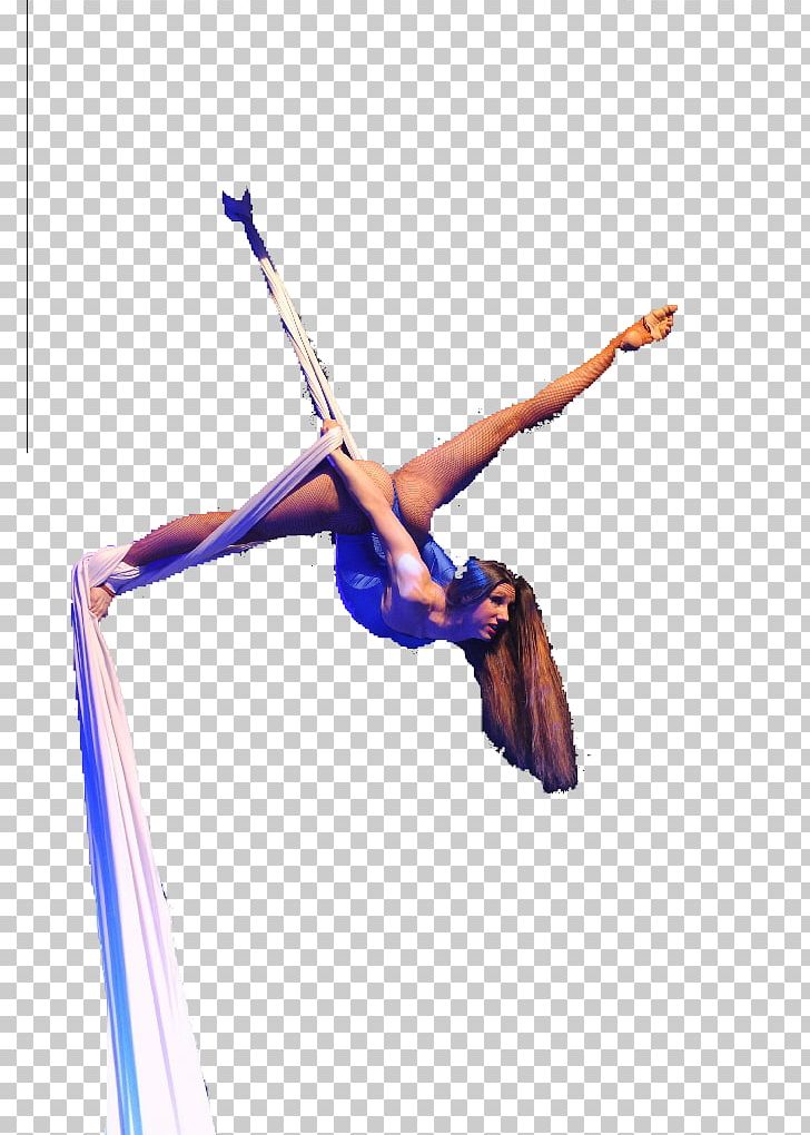 Aerial Dance Aerial Silk Acrobatics Circus Drawing PNG, Clipart, Acrobatics, Aerial Dance, Aerial Silk, Ballerine, Circus Free PNG Download