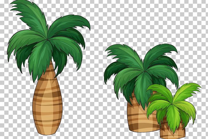 Arecaceae Illustration PNG, Clipart, Arecales, Christmas Tree, Coconut, Coconut Tree, Euclidean Vector Free PNG Download
