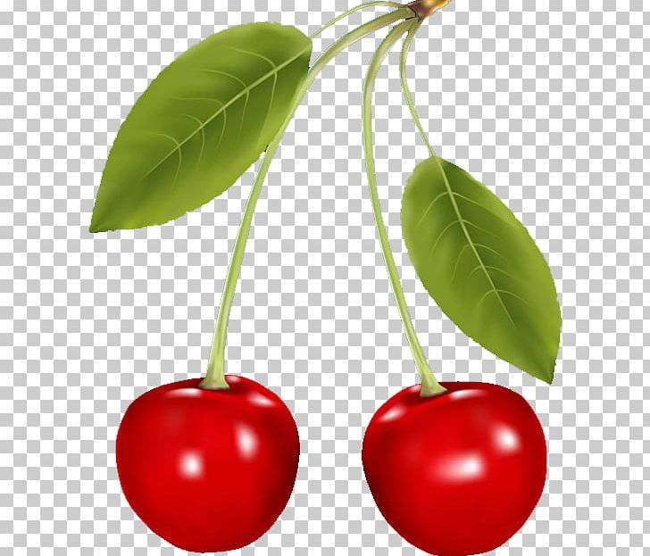Berry Cherry Fruit PNG, Clipart, Acerola Family, Beautiful, Berry, Cerasus, Cherries Free PNG Download