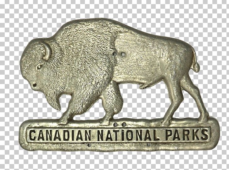 National Park Cattle Buffalo Pass Crowfoot Media Inc. PNG, Clipart, Animal, Banff, Banff National Park, Canada, Cattle Free PNG Download