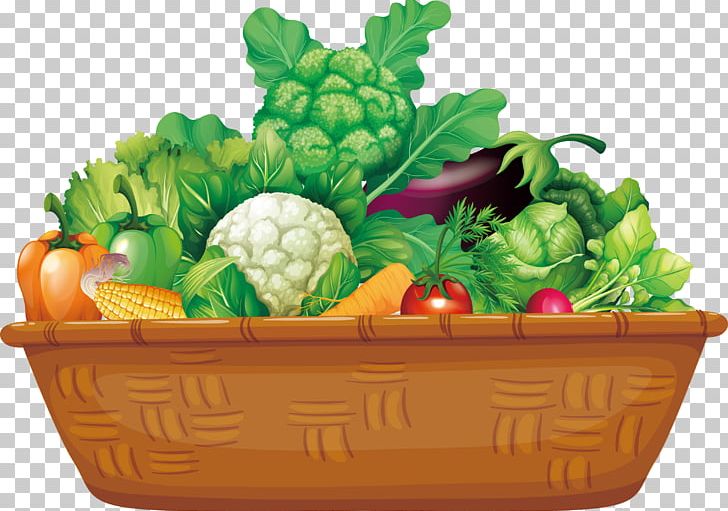 Organic Food Vegetable Basket Fruit PNG, Clipart, Basket Of Apples, Basket Vector, Bell Pepper, Diet Food, Dish Free PNG Download