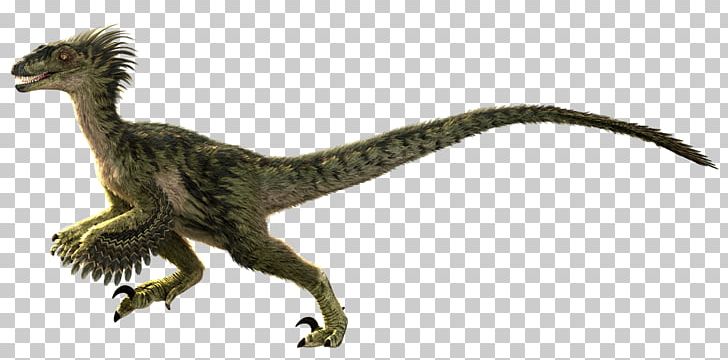 Velociraptor Primal Carnage Dinosaur Tyrannosaurus Primal Rage PNG, Clipart, Animal Figure, Carnage, Dinosaur, Extinction, Fantasy Free PNG Download