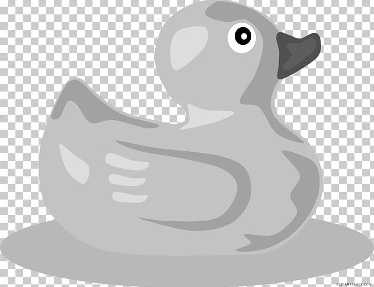 Duck Open Graphics Illustration PNG, Clipart, Animal, Animals, Beak, Bird, Carnivoran Free PNG Download