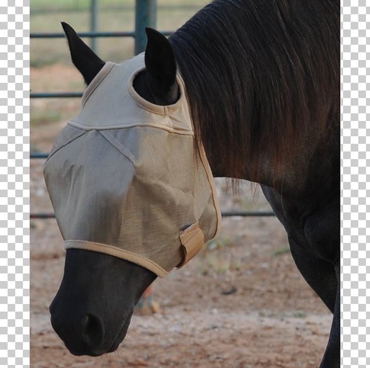 Horse Fly Mask Rein Insect PNG, Clipart, Animals, Bell Boots, Bridle, Clothing Accessories, Cowboy Free PNG Download