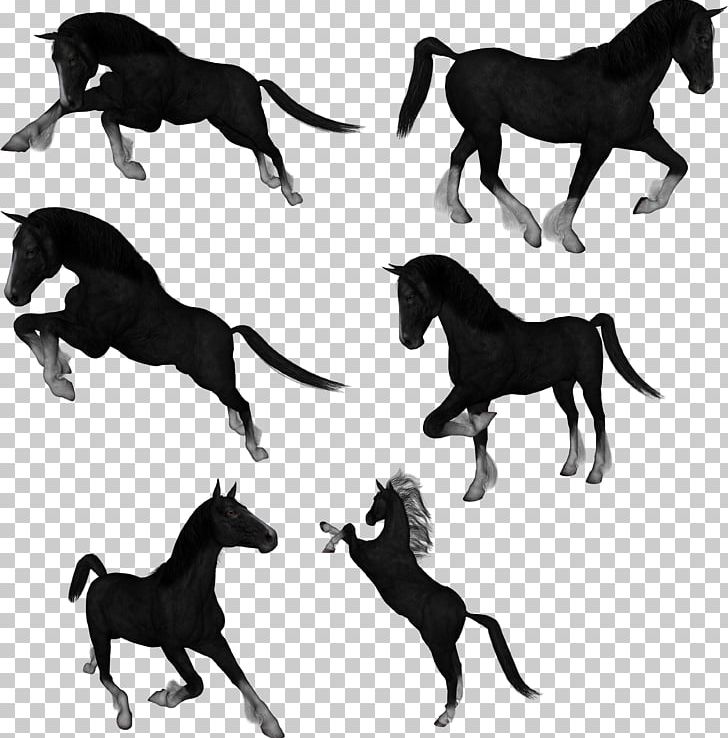 Mustang Drawing Akhal-Teke PNG, Clipart, Akhalteke, Animal, Black And White, Carnivoran, Clip Art Free PNG Download
