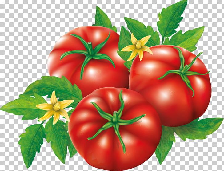 Plum Tomato Bush Tomato Patty Pan Vegetable PNG, Clipart, Apple, Bush Tomato, Cherry, Cooking, Diet Food Free PNG Download