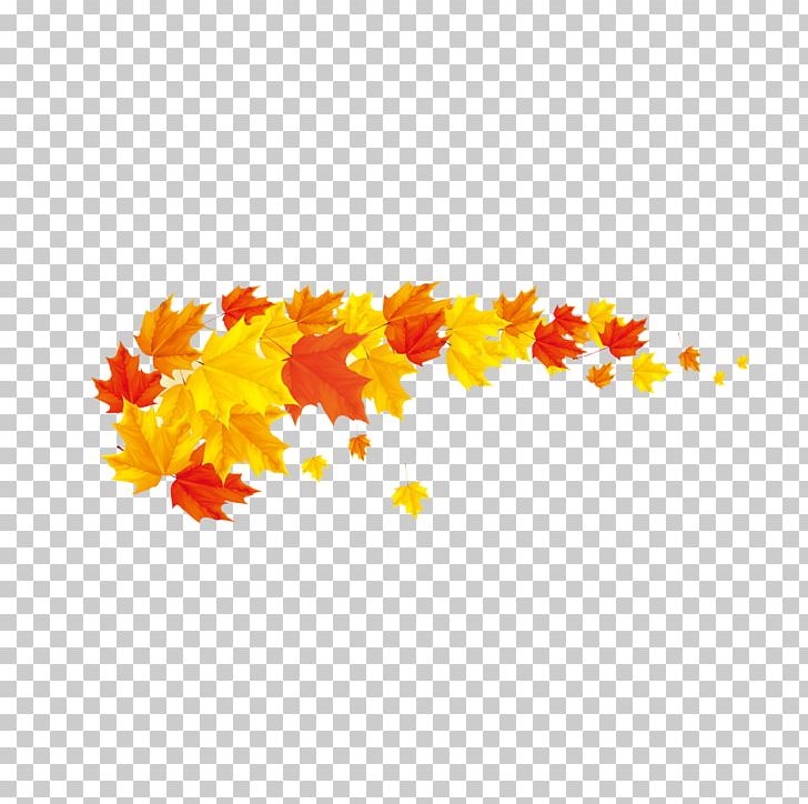 Autumn Leaf Color Banner PNG, Clipart, Autumn, Autumn Leaf, Autumn Leaf Color, Defoliation, Encapsulated Postscript Free PNG Download