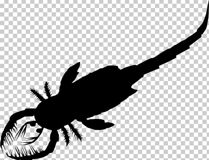 Eurypterid Scorpion Xiphosura Silurian Tachypleus Tridentatus PNG, Clipart, Biology, Black And White, Eurypterid, Eurypterus, Fly Free PNG Download